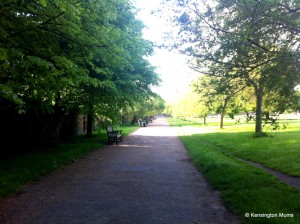 One of our Royal Parks